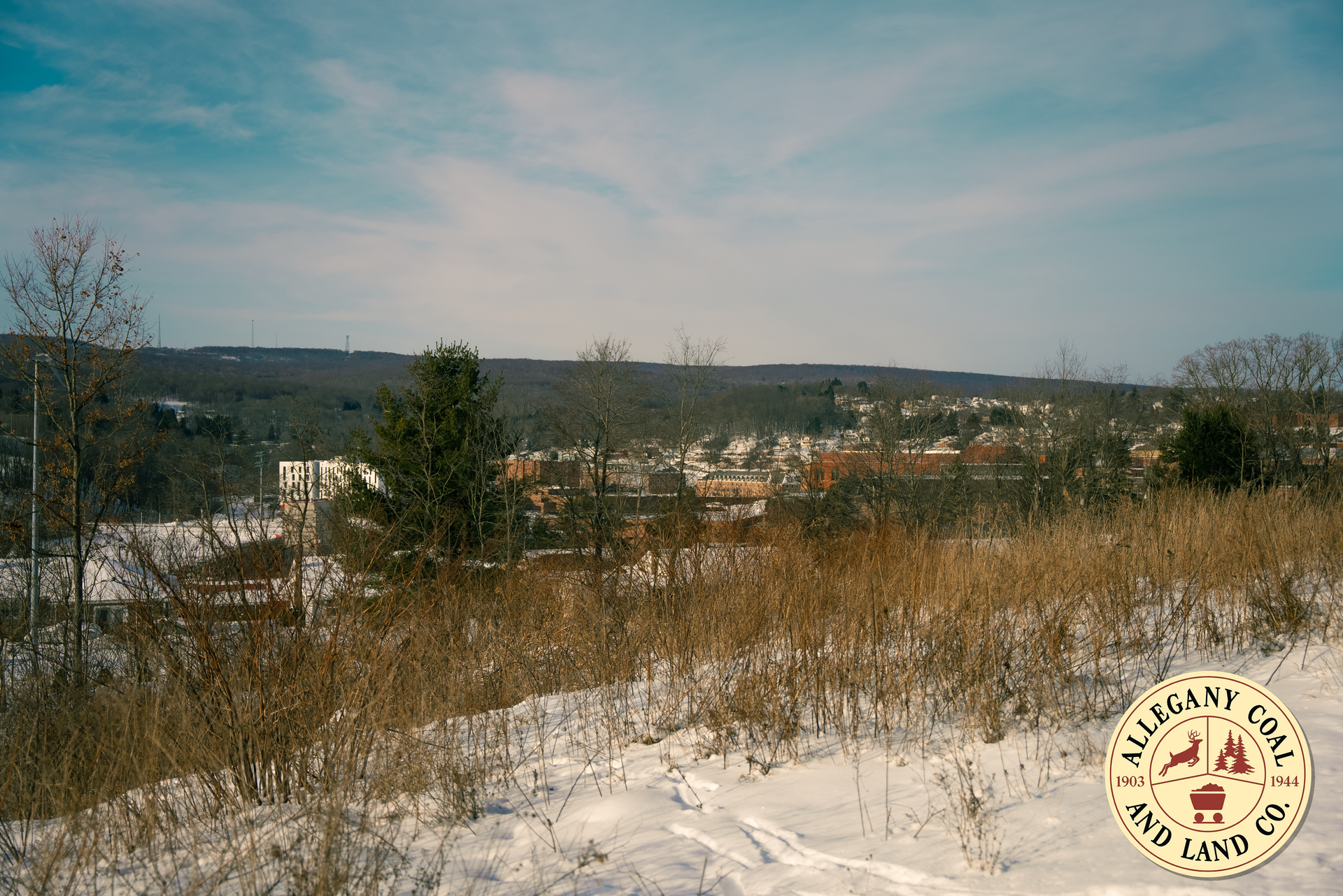 Winter landscape view of a town in the distance, trees and dry grass in the foreground, snow on the ground.