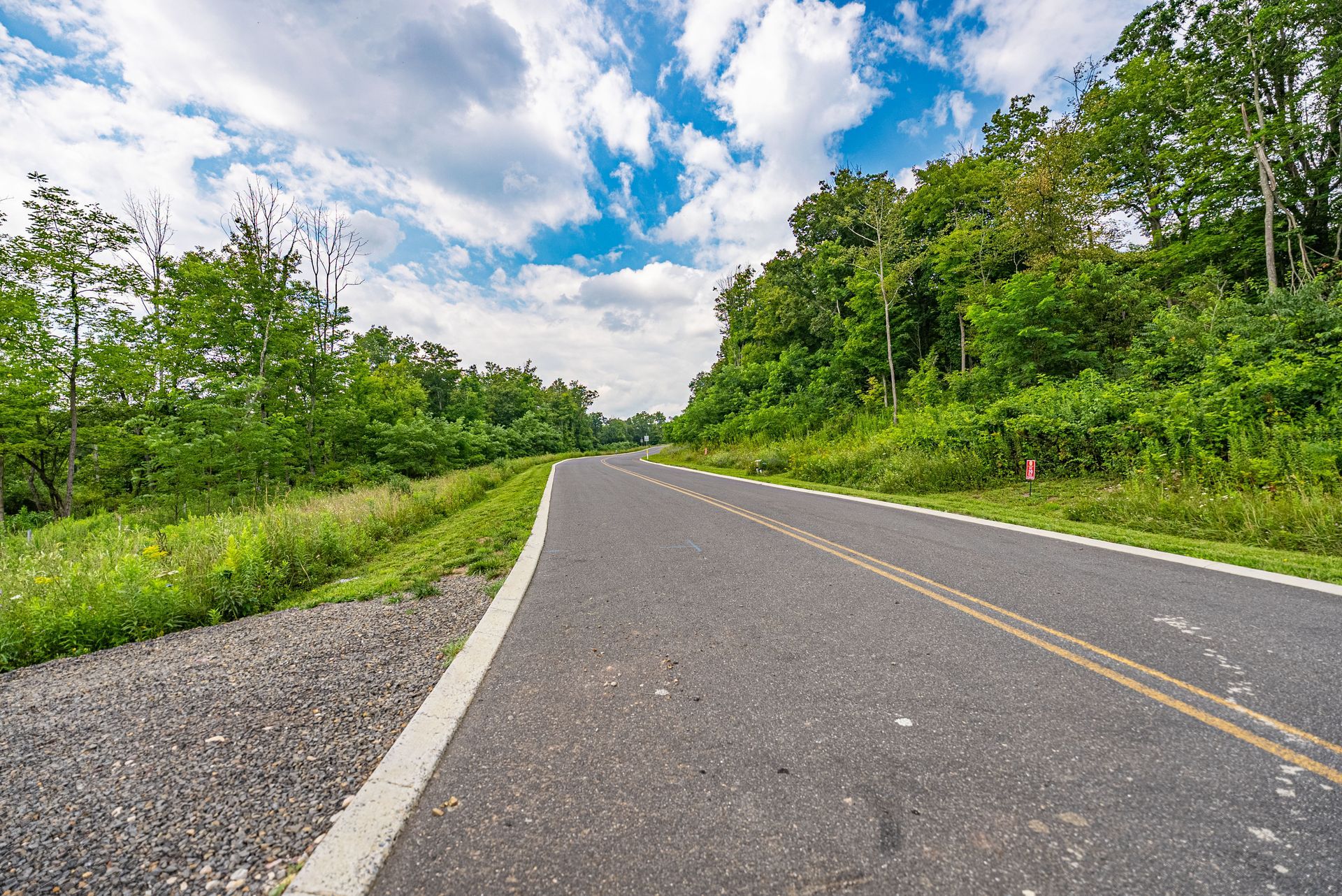 Road winding through lush green trees under a blue sky with scattered clouds.
