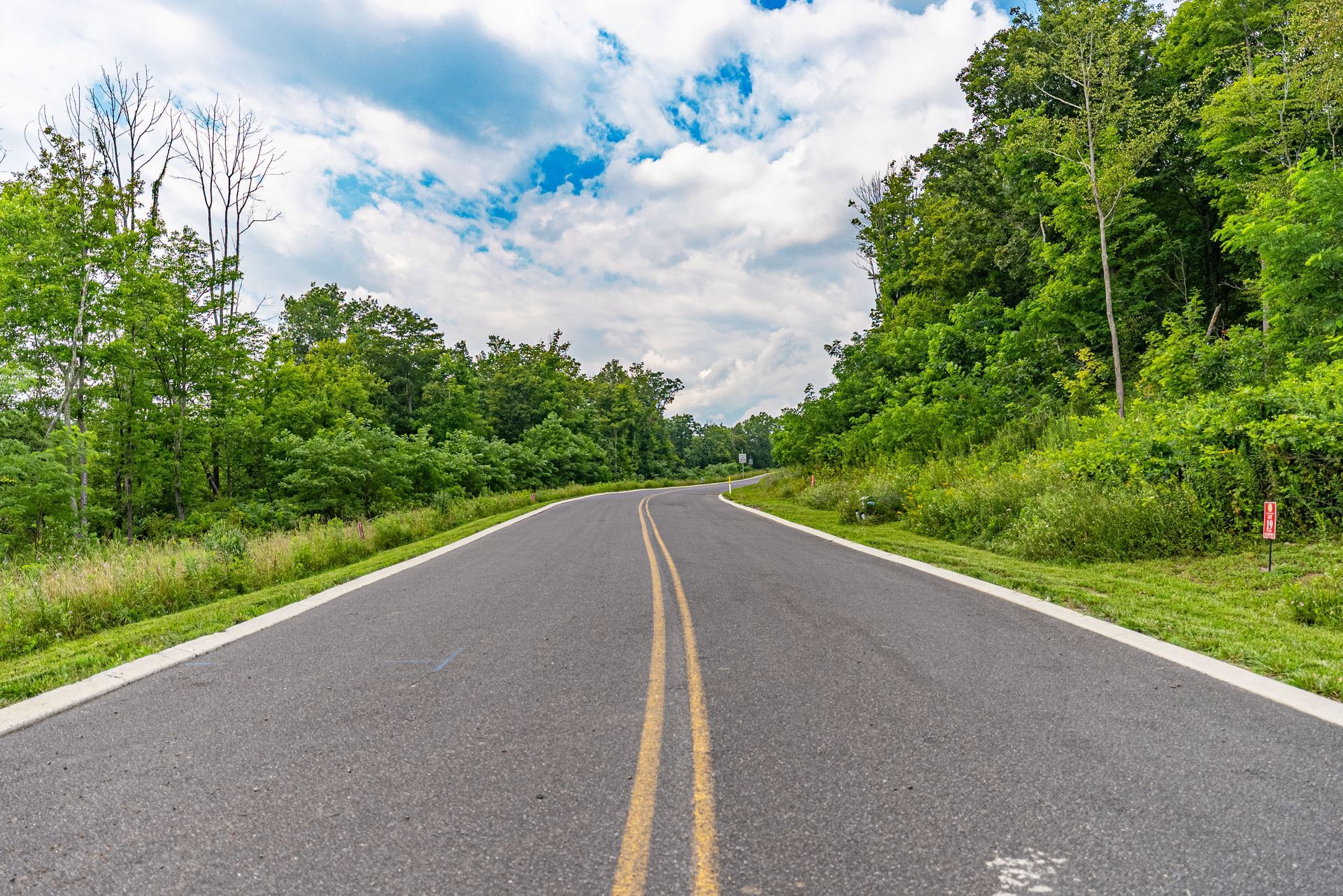 Paved road through a forest with trees on either side and a cloudy sky above.