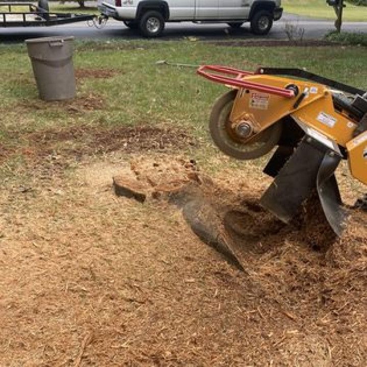 Stump Grinding
