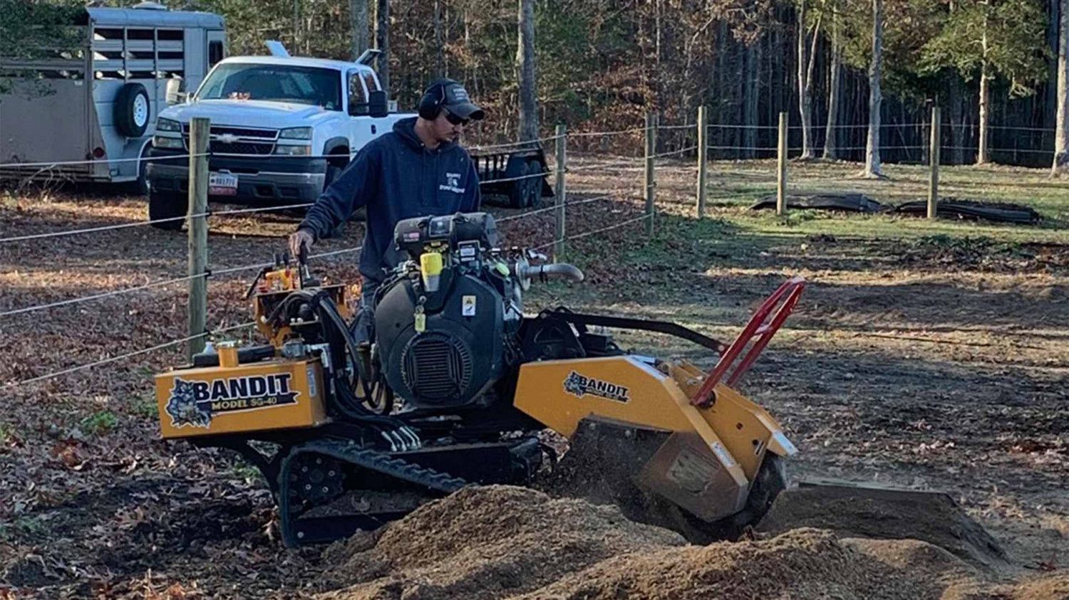Specialists for Stump Grinding