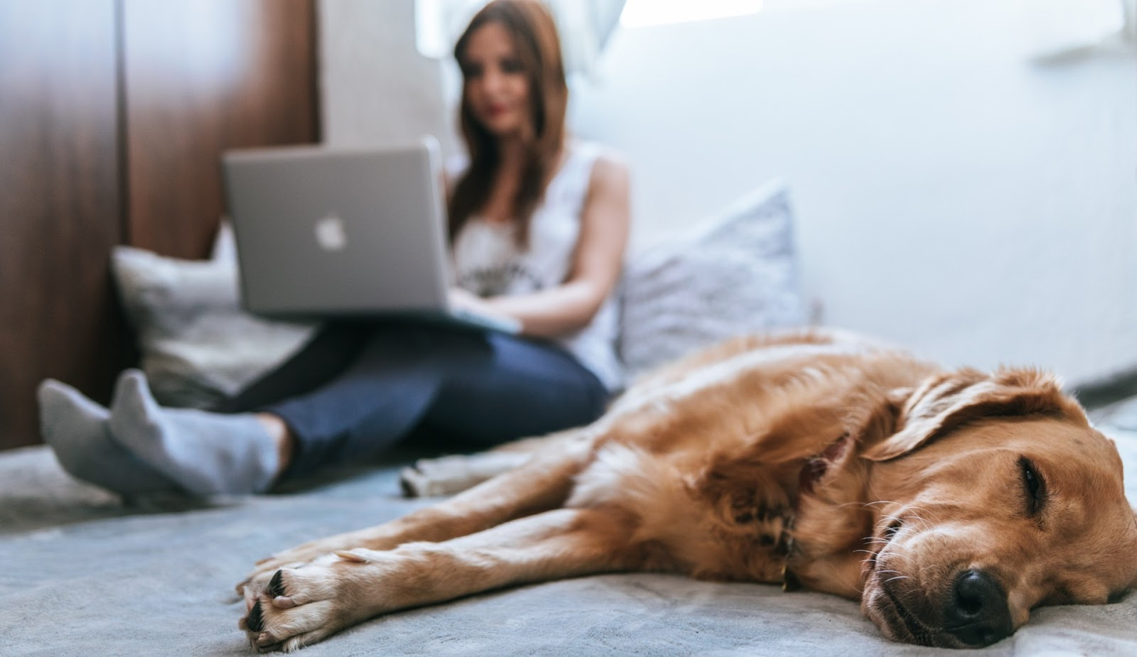 A woman is sitting on a bed with a laptop and a dog laying on the floor.