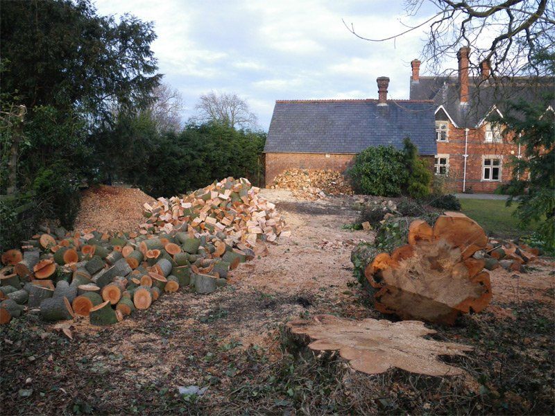 Trees to Firewood – Complete Service