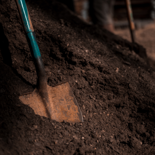 A shovel stuck in a pile of dark soil, outdoors.
