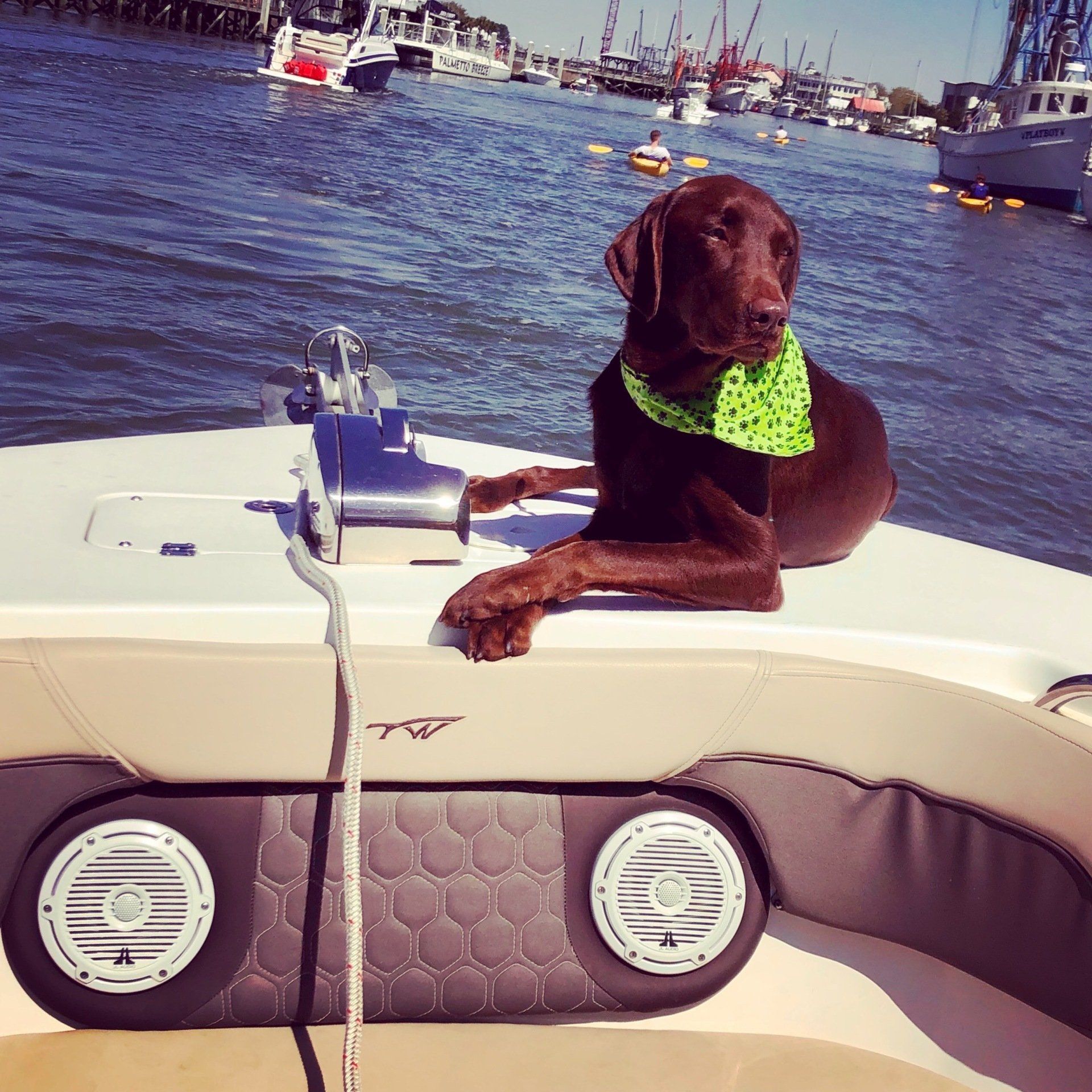 A dog wearing a green bandana is laying on the back of a boat