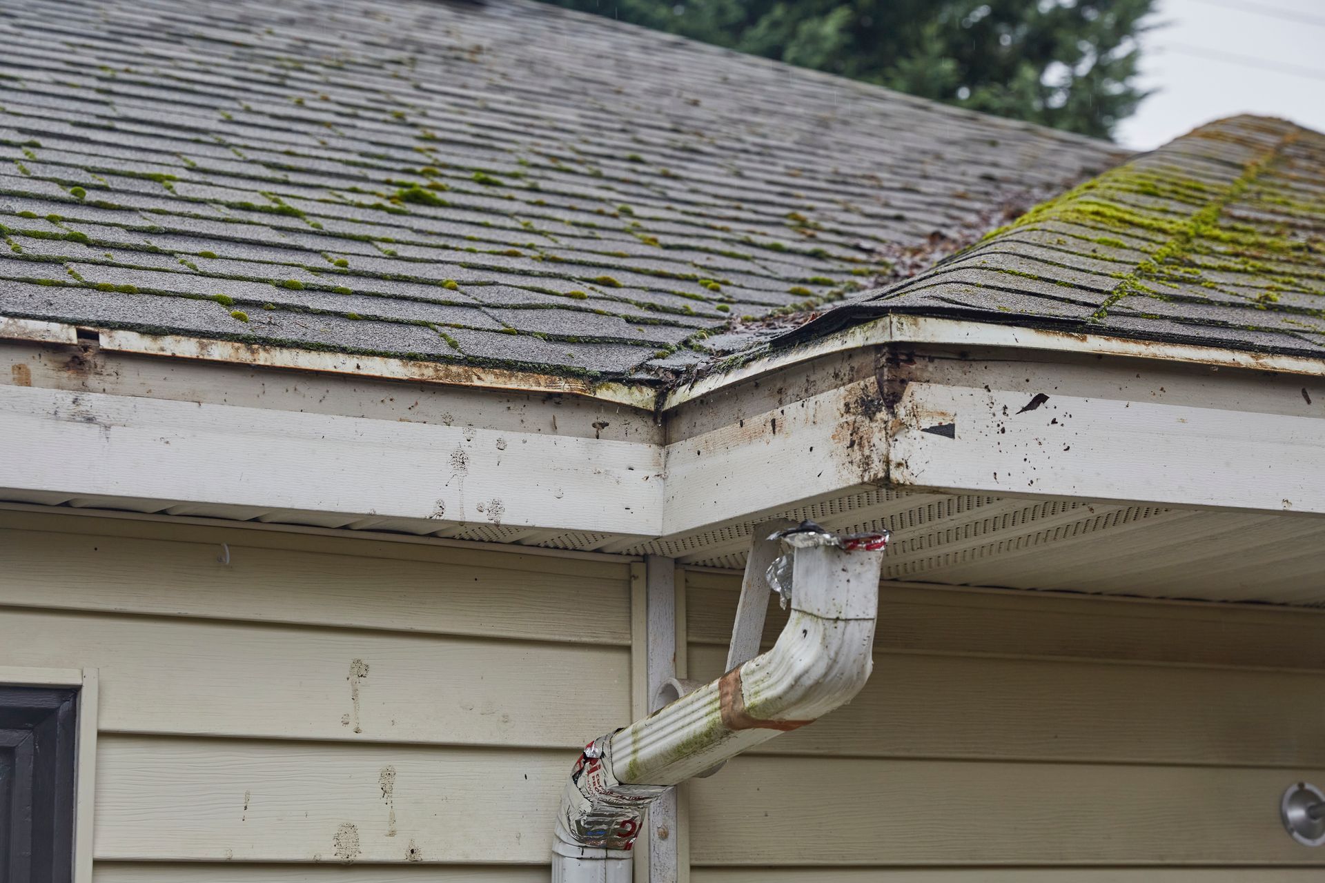 Roof Needing Replacement