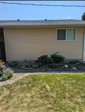 A house with a garden in front of it and a window.
