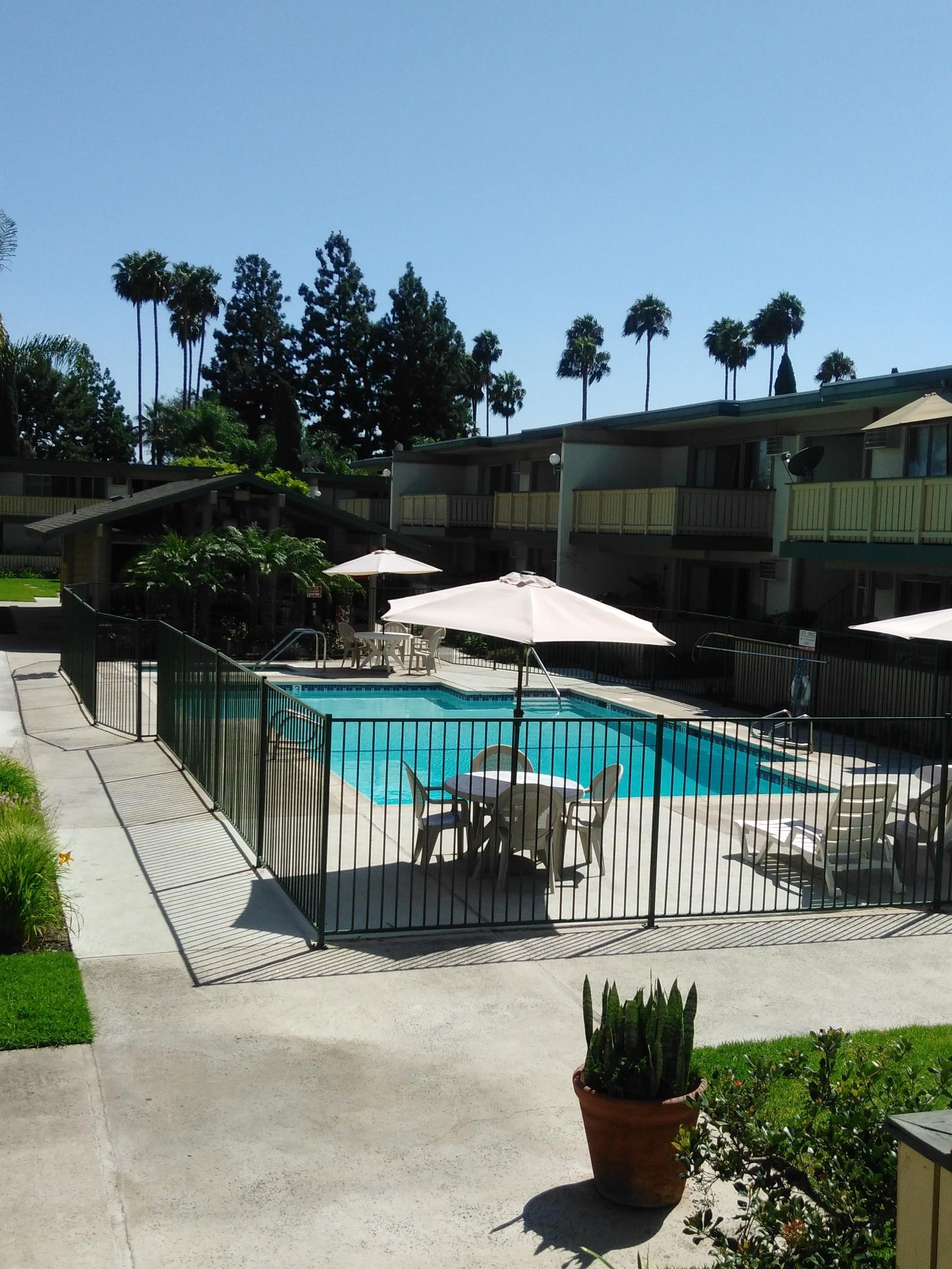Pool | Santa Clara Apartments