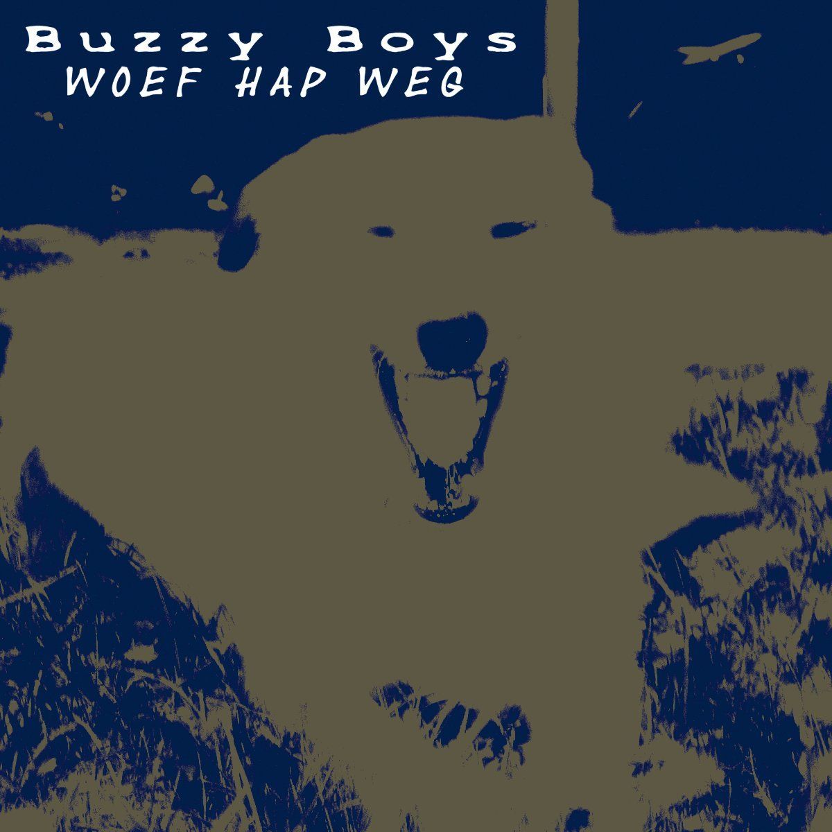 Buzzy Boys-Woef Hap Weg-Front