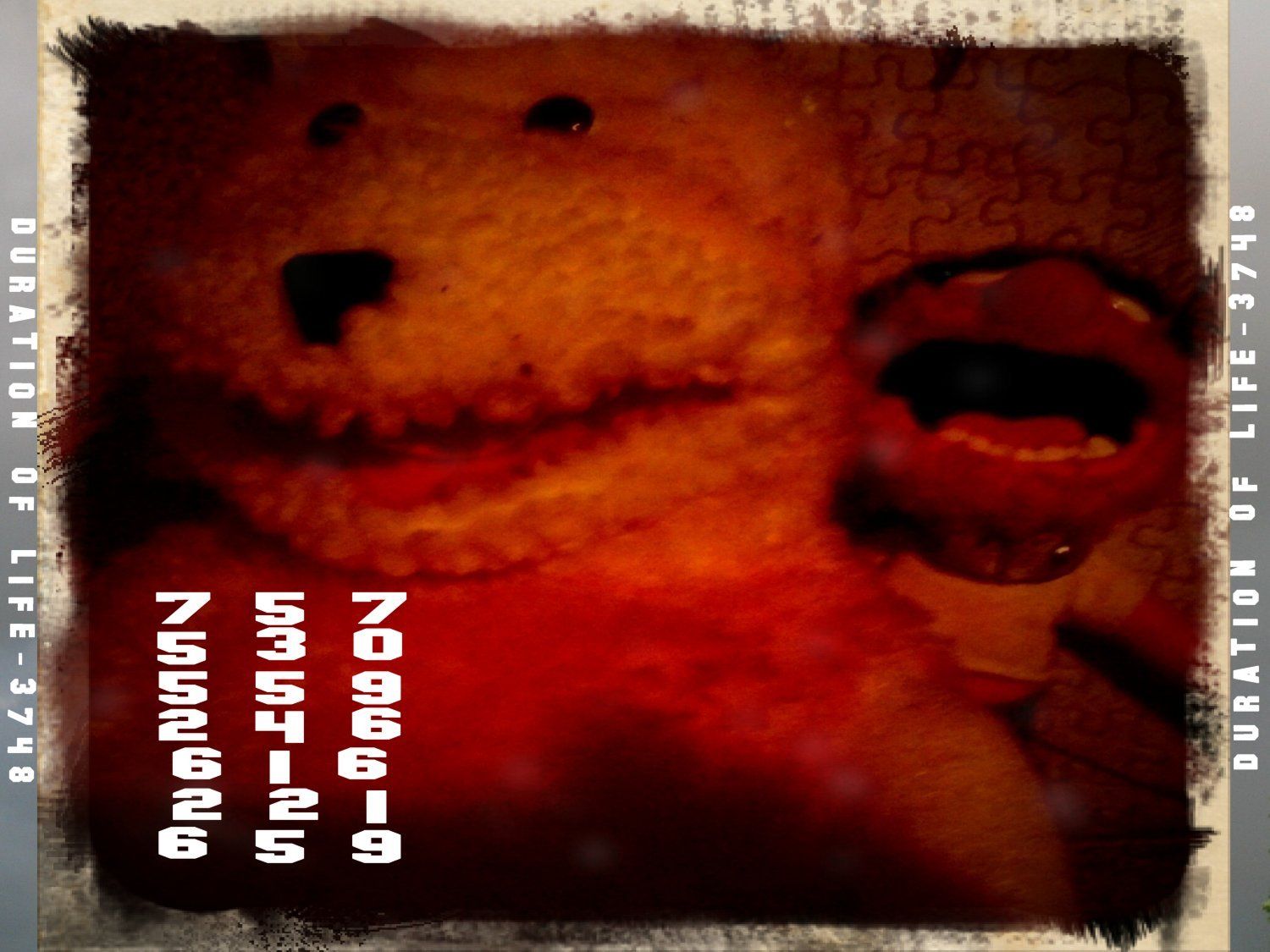 Duration Of Life-3748-Back