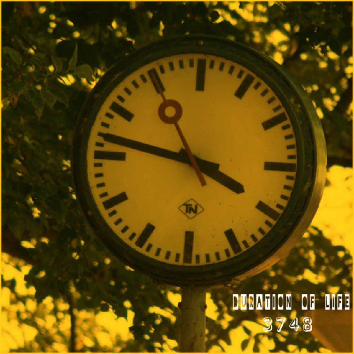 Duration Of Life-3748-Front