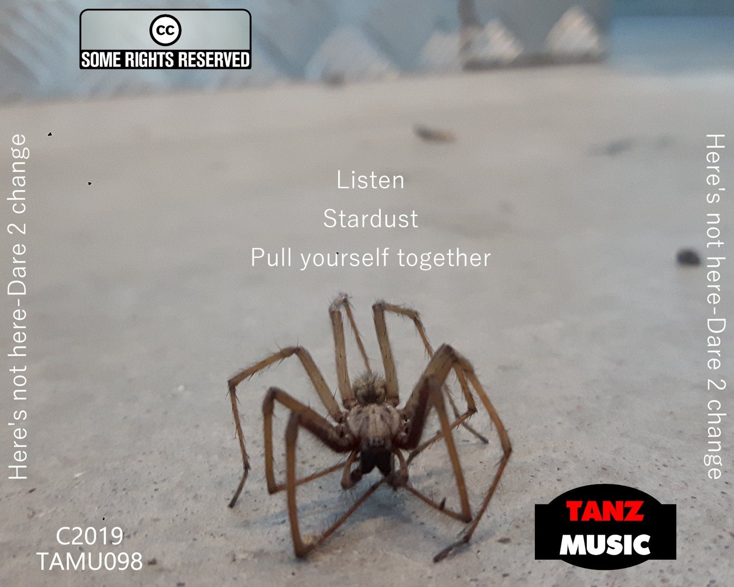 Here's not here-Dare 2 change-Back