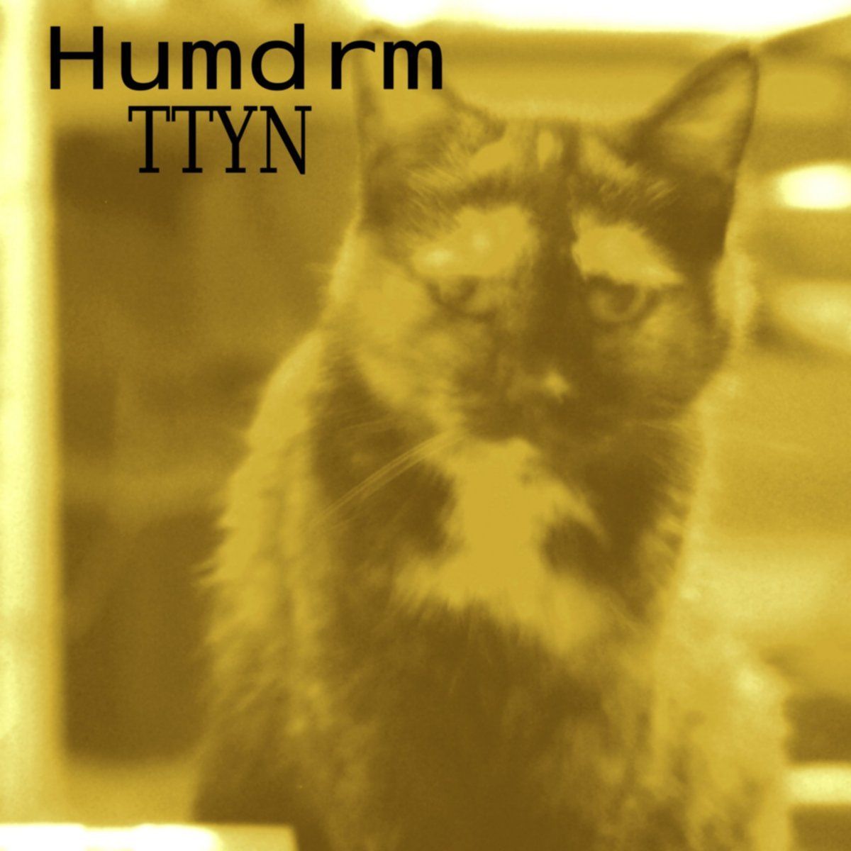 Humdrm-TTYN-Front