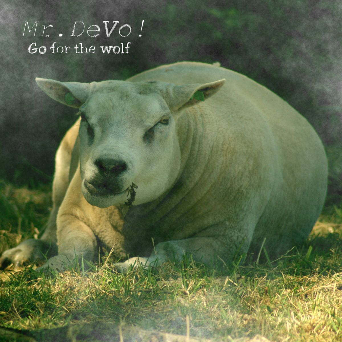 Mr.DeVo!-Go for the wolf [TAMU152]