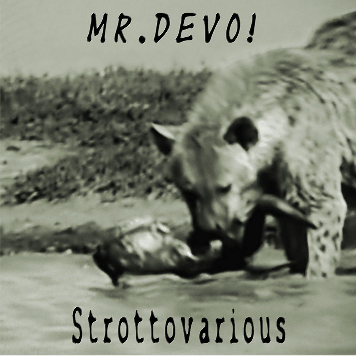 Mr.DeVo!-Strottovarious-Front
