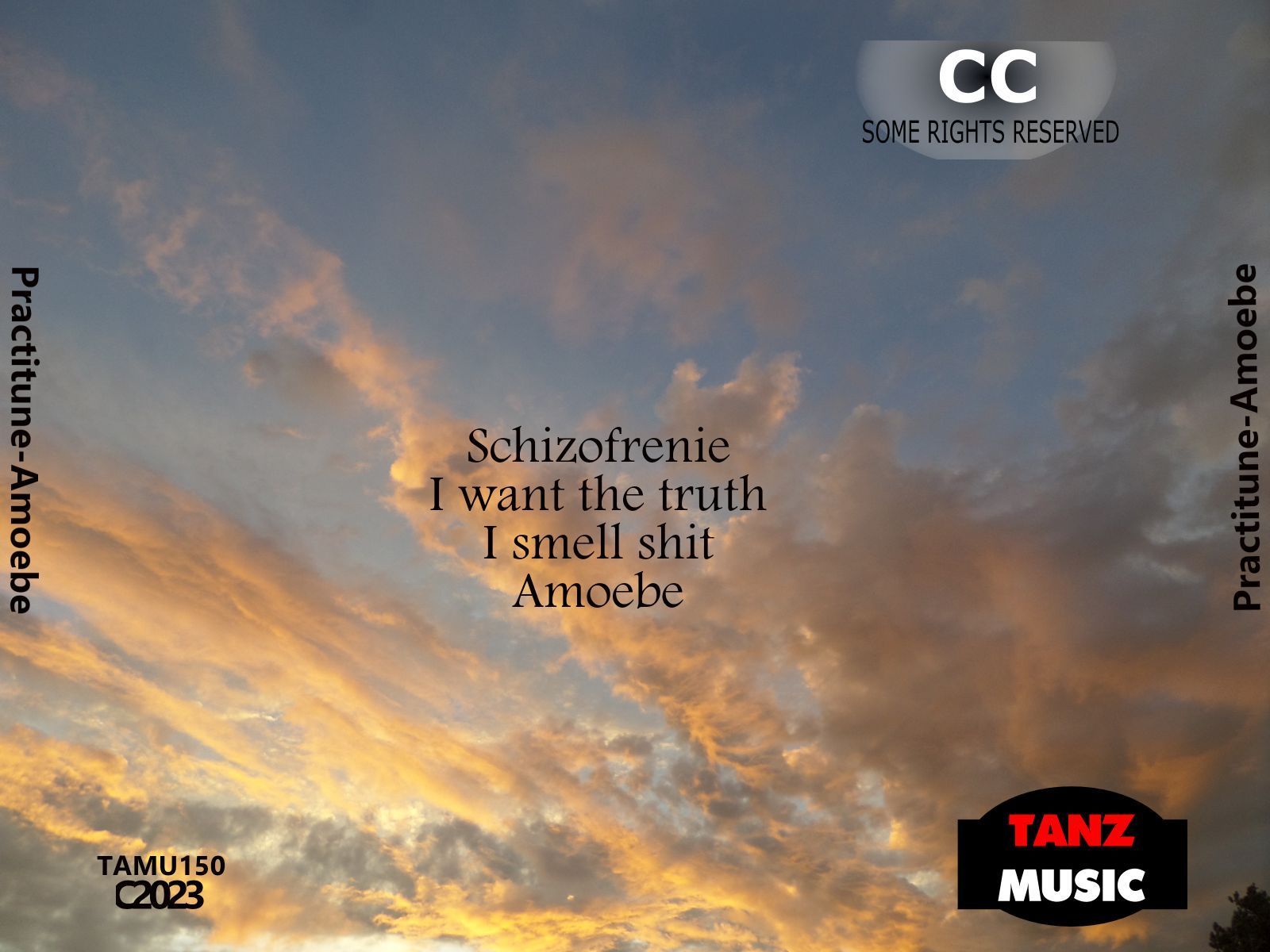 Practitune-Amoebe-Back