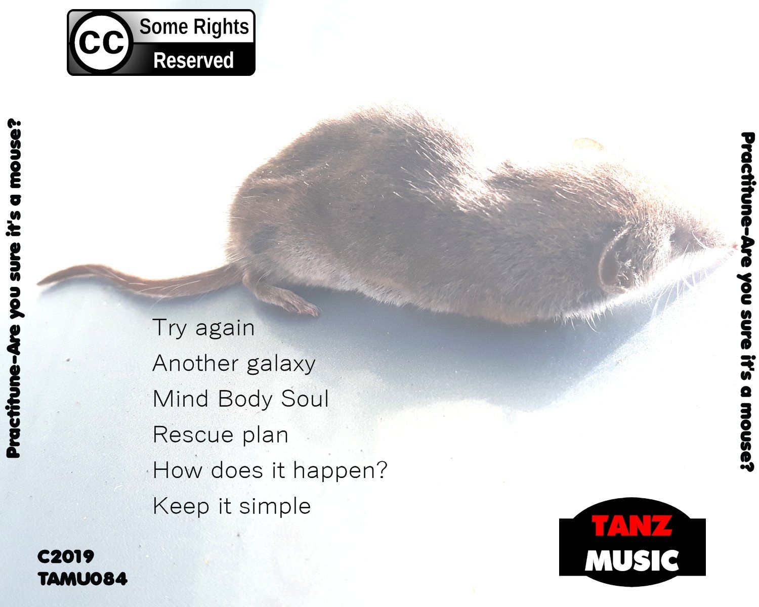 Practitune-Are you sure it's a mouse-Back