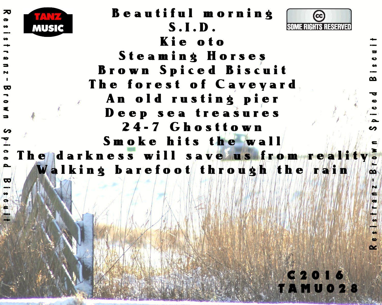 Resistranz-Brown Spiced Biscuit-Back