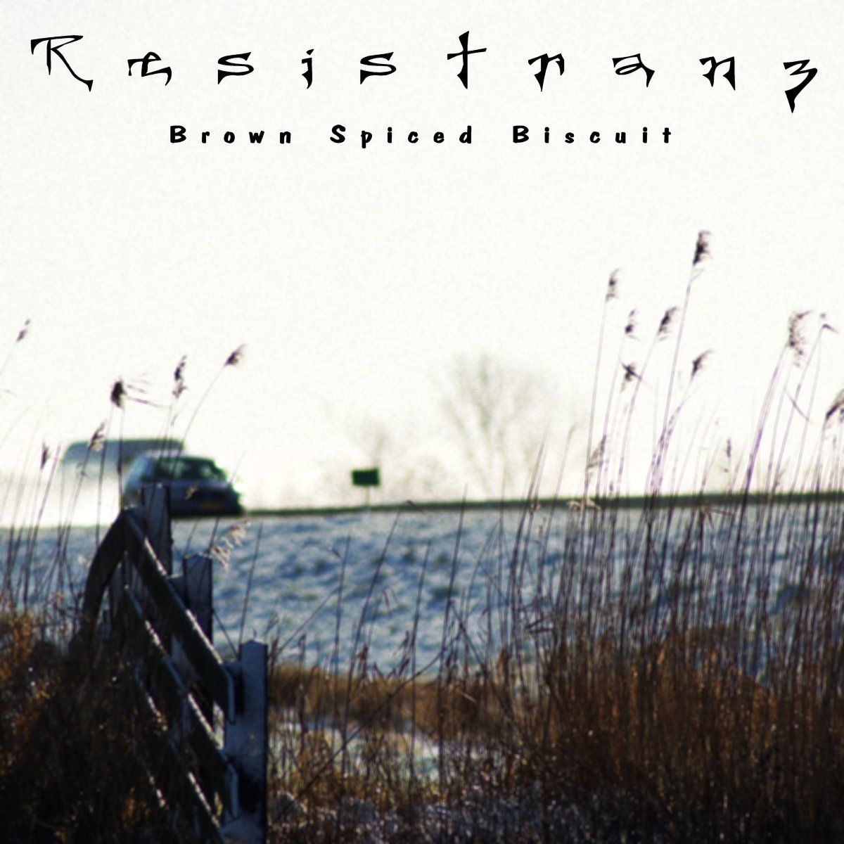 Resistranz-Brown Spiced Biscuit-Front