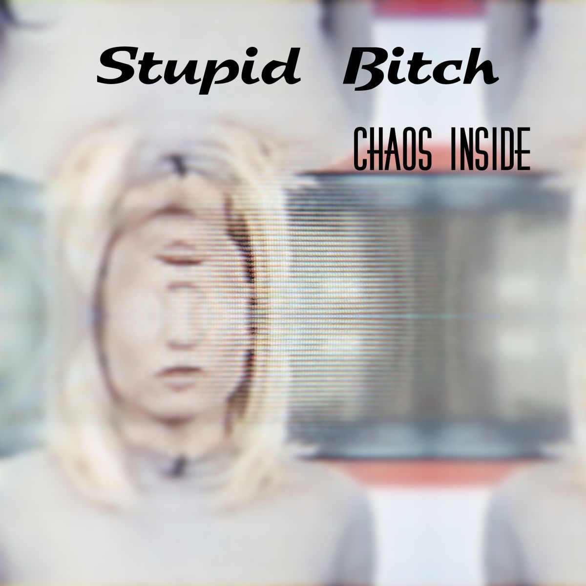 Stupid Bitch-Chaos inside[TAMU129]