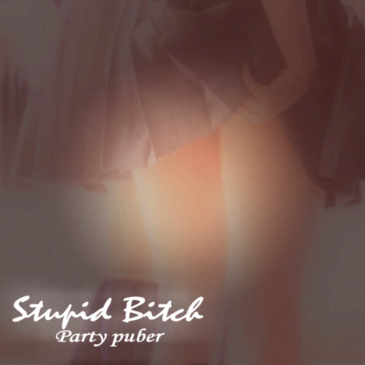 Stupid Bitch-Party puber-Front