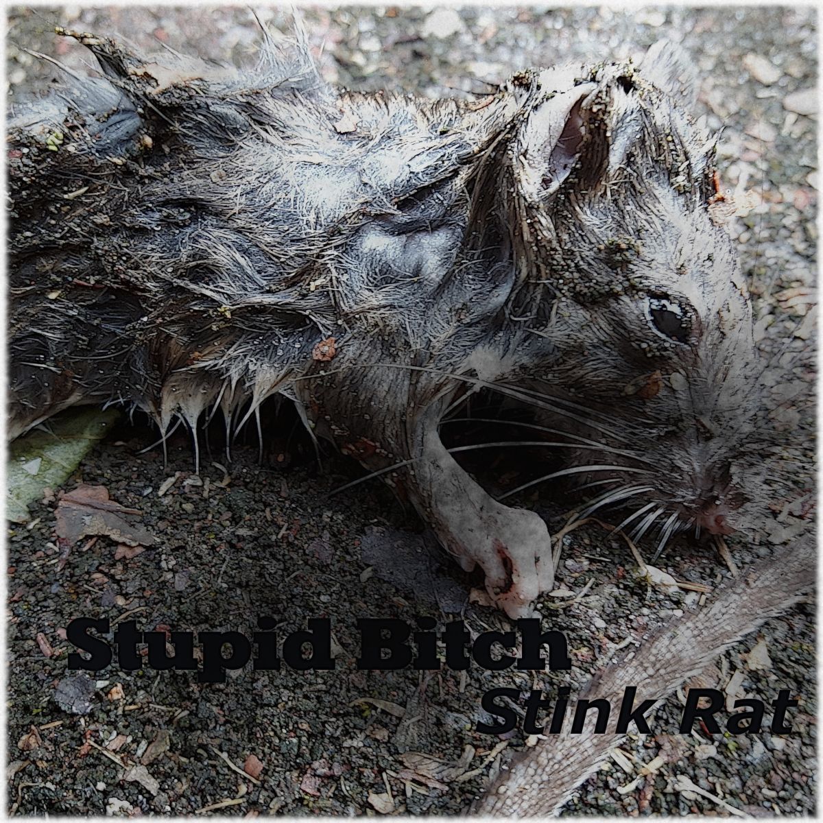 Stupid Bitch-Stink Rat