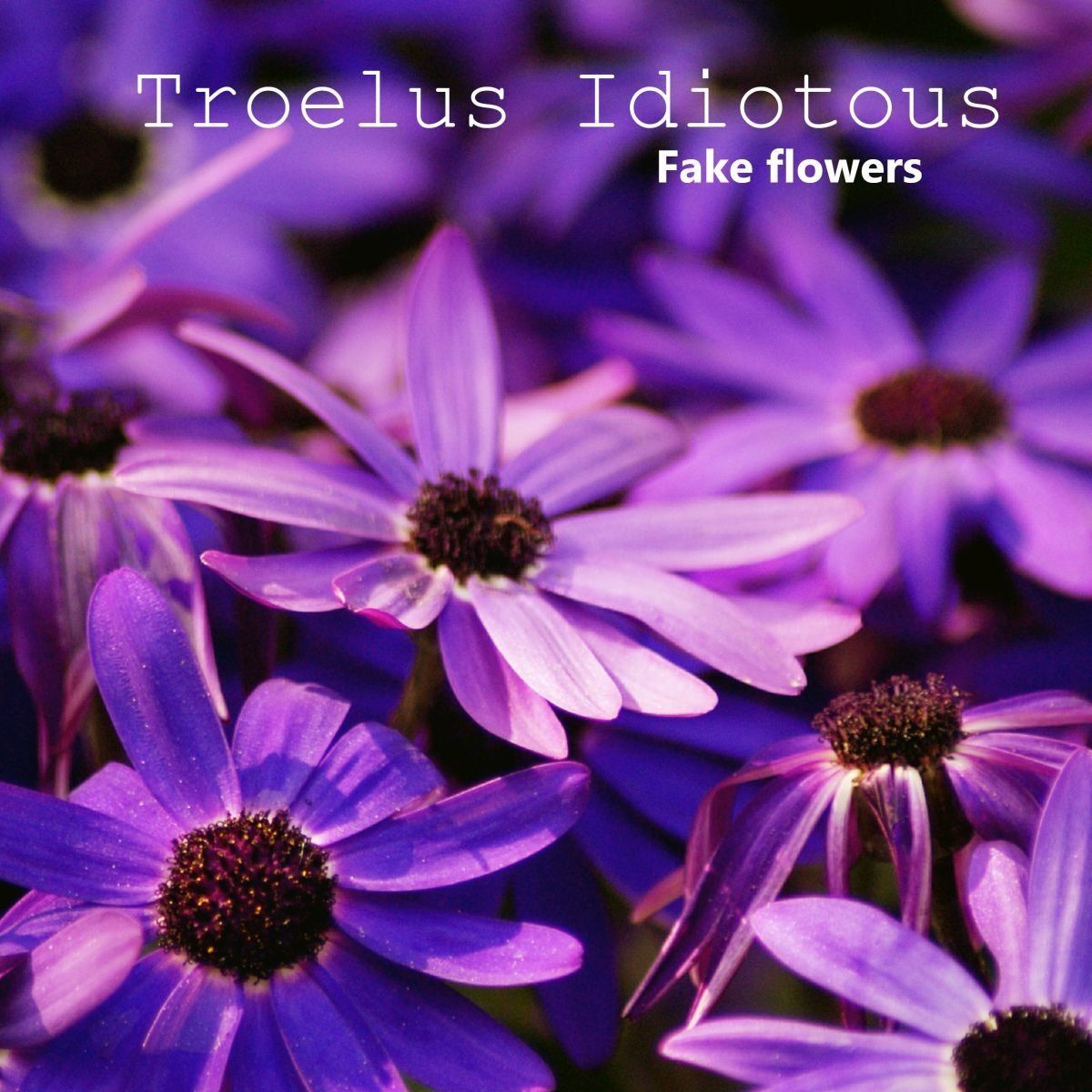 Troelus Idiotous-Fake flowers[TAMU147]