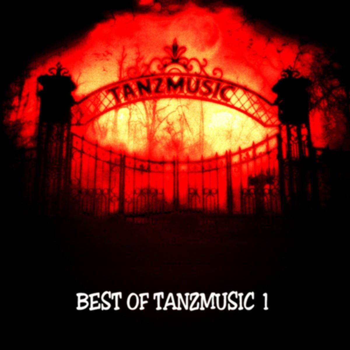VA-Best of Tanzmusic 1-Front
