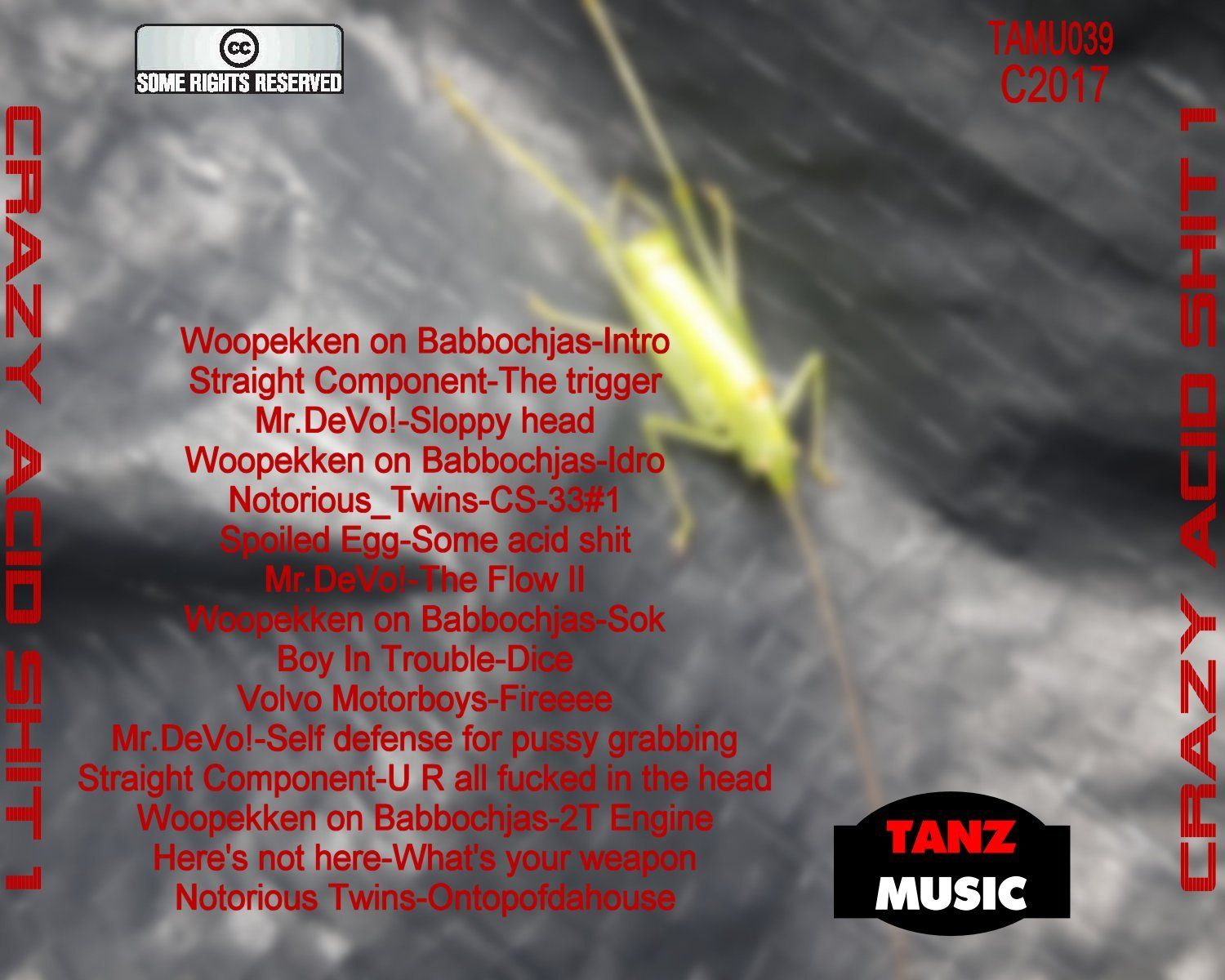 VA-Crazy Acid Shit 1-Back