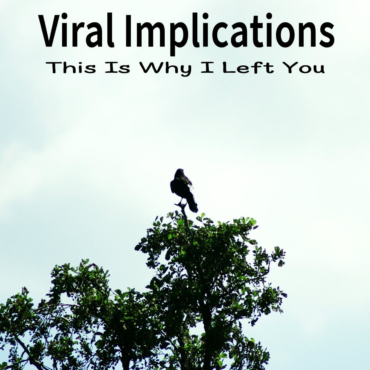 Viral Implications-This Is Why I Left You-Front