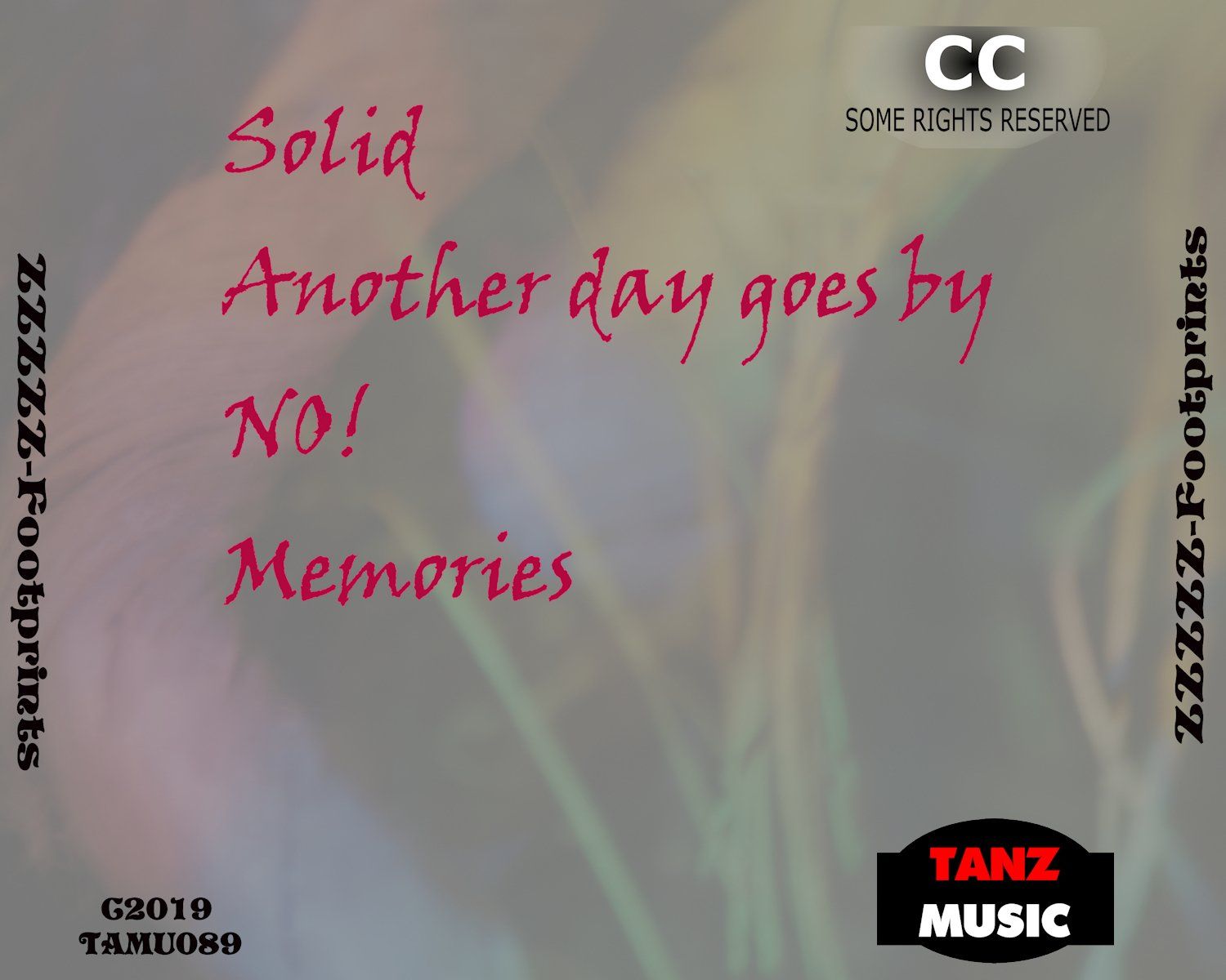 ZZZZZ-Footprints-Back