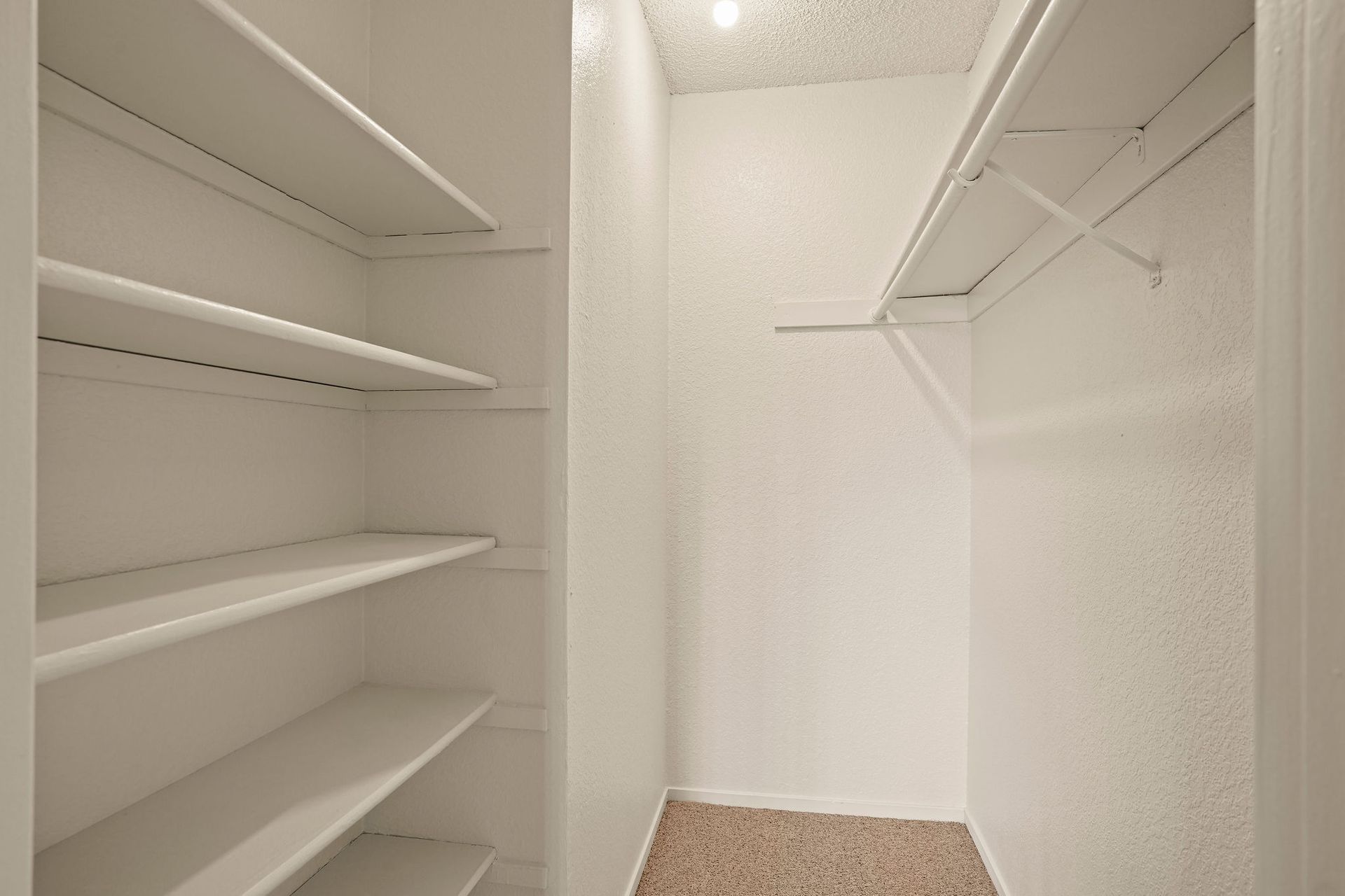 Empty white walk-in closet with shelves on both sides and carpeted floor