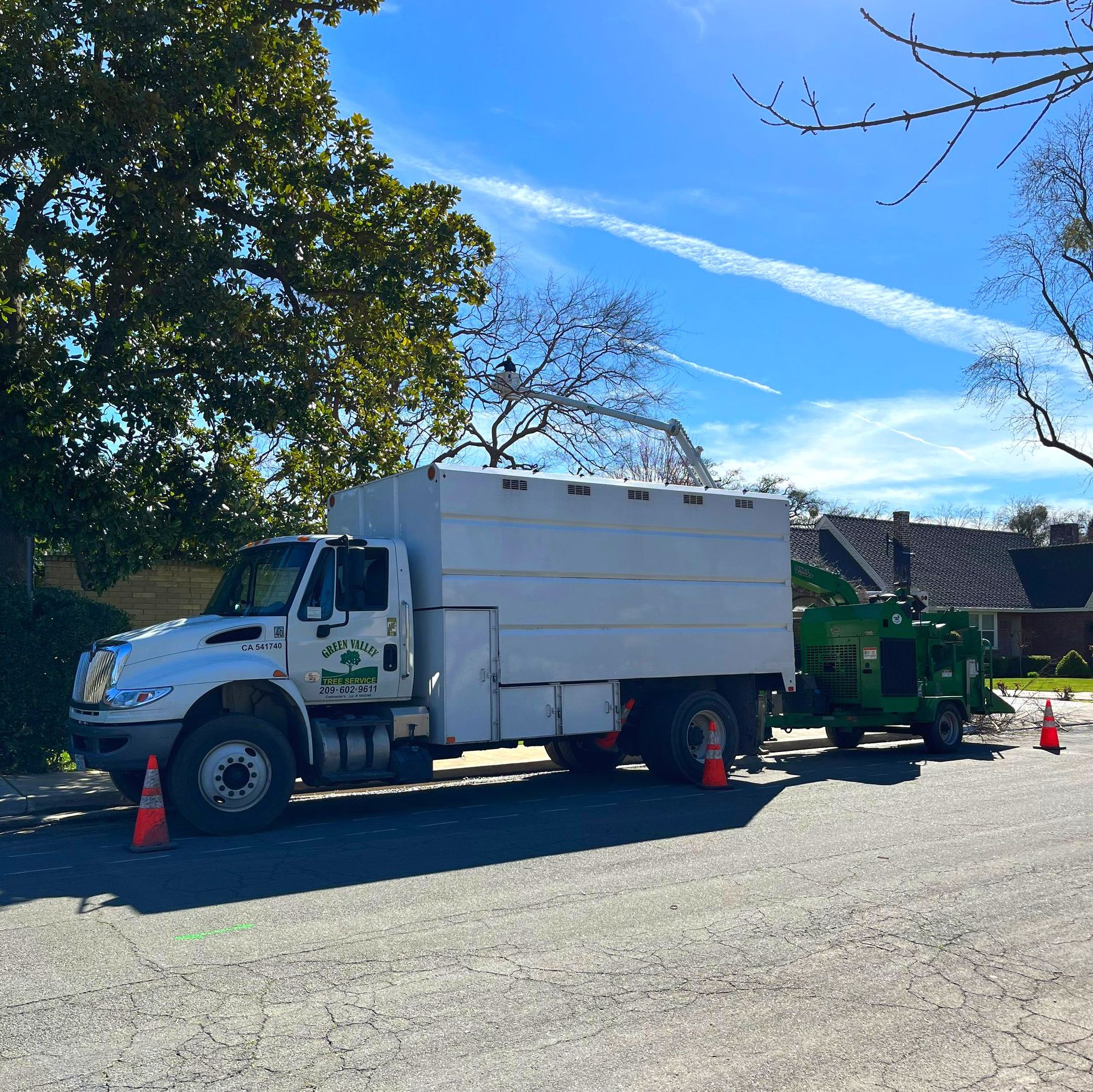 Professional Tree Remover — Hughson, CA — Green Valley Tree Service