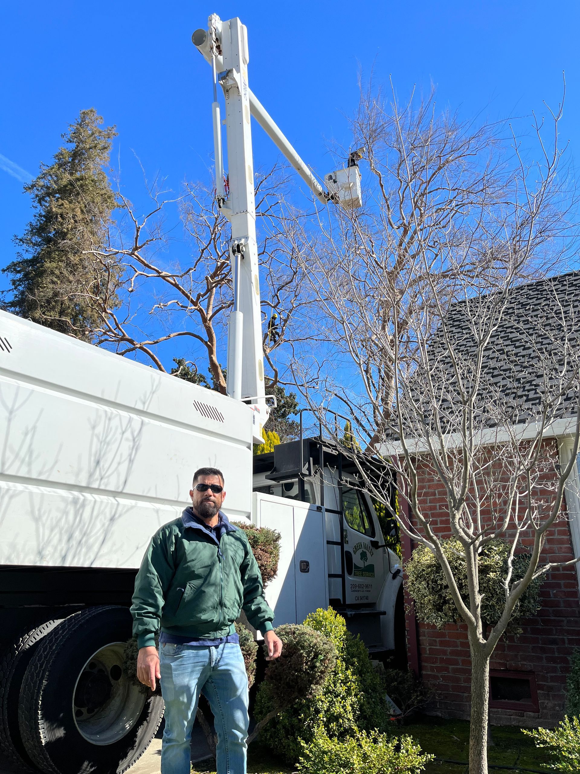 Workers with a Chainsaw Trimming the Tree Branches — Hughson, CA — Green Valley Tree Service