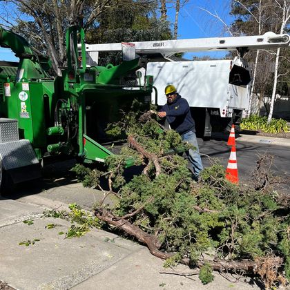 Large and Small Pieces of Pruned Wood — Hughson, CA — Green Valley Tree Service