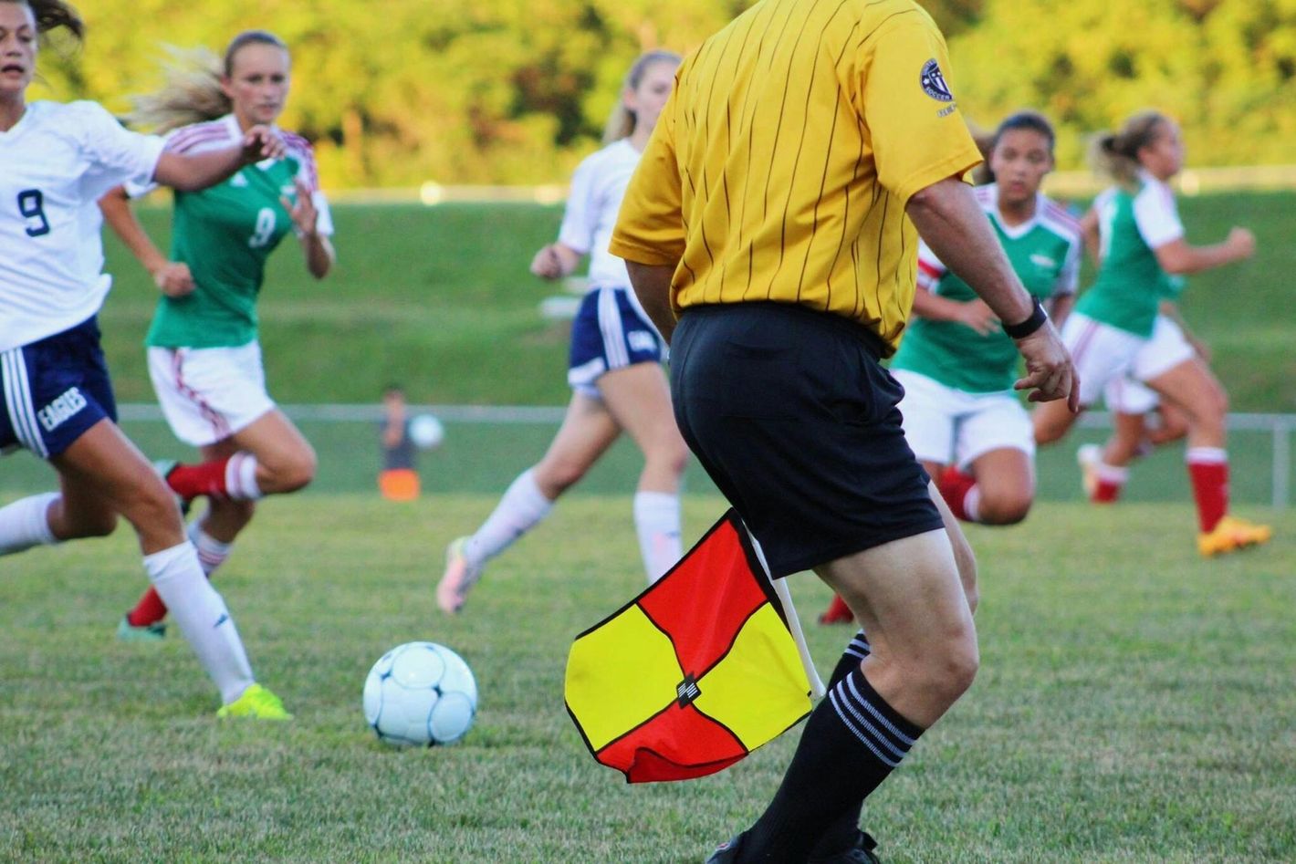 A soccer official holding a checkered flag stands on a grassy field as players in white and green uniforms play a match.