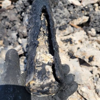 A person wearing black gloves is holding a piece of coal in their hand.