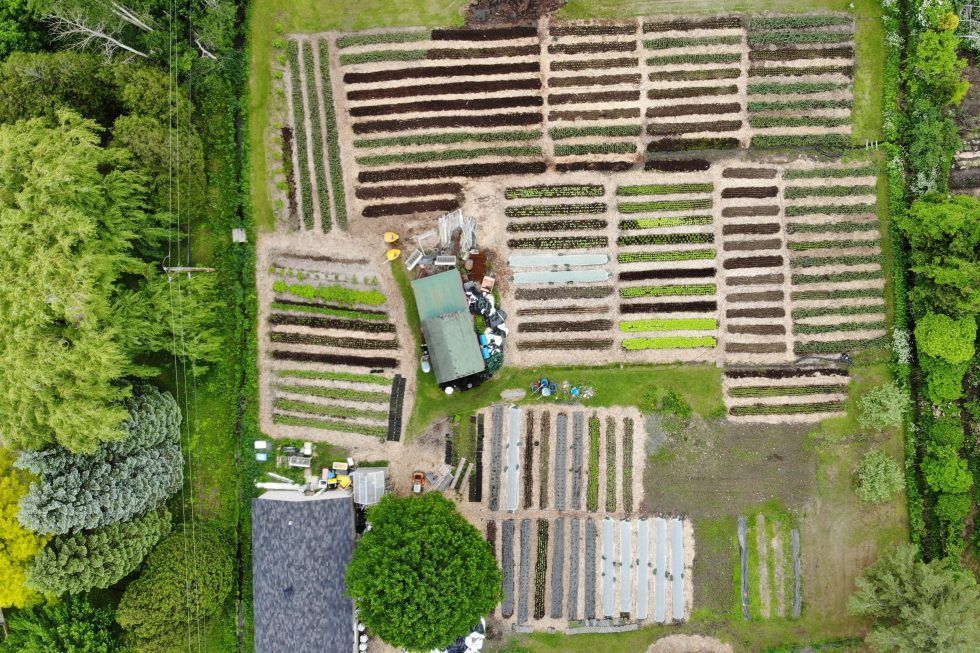 An aerial view of a garden with rows of plants and a house in the background.