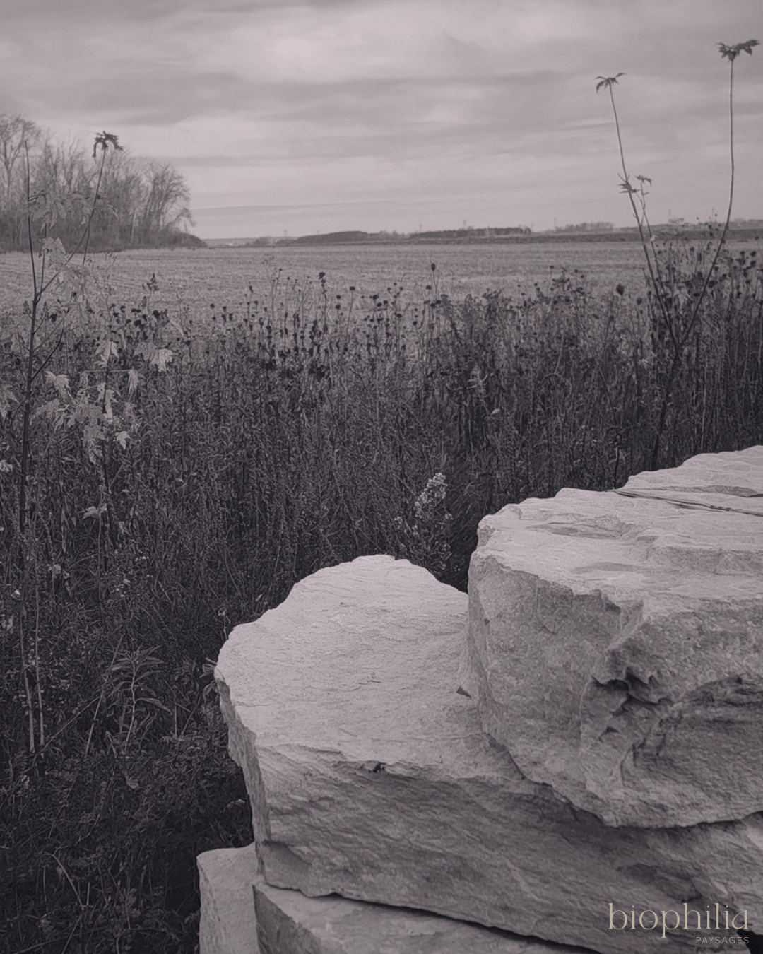 Pierre de silice Bleu Ciel de la carrière Ducharme Pierre de silice Bleu Ciel de la carrière Ducharme, Maison Lamy à Beloeil