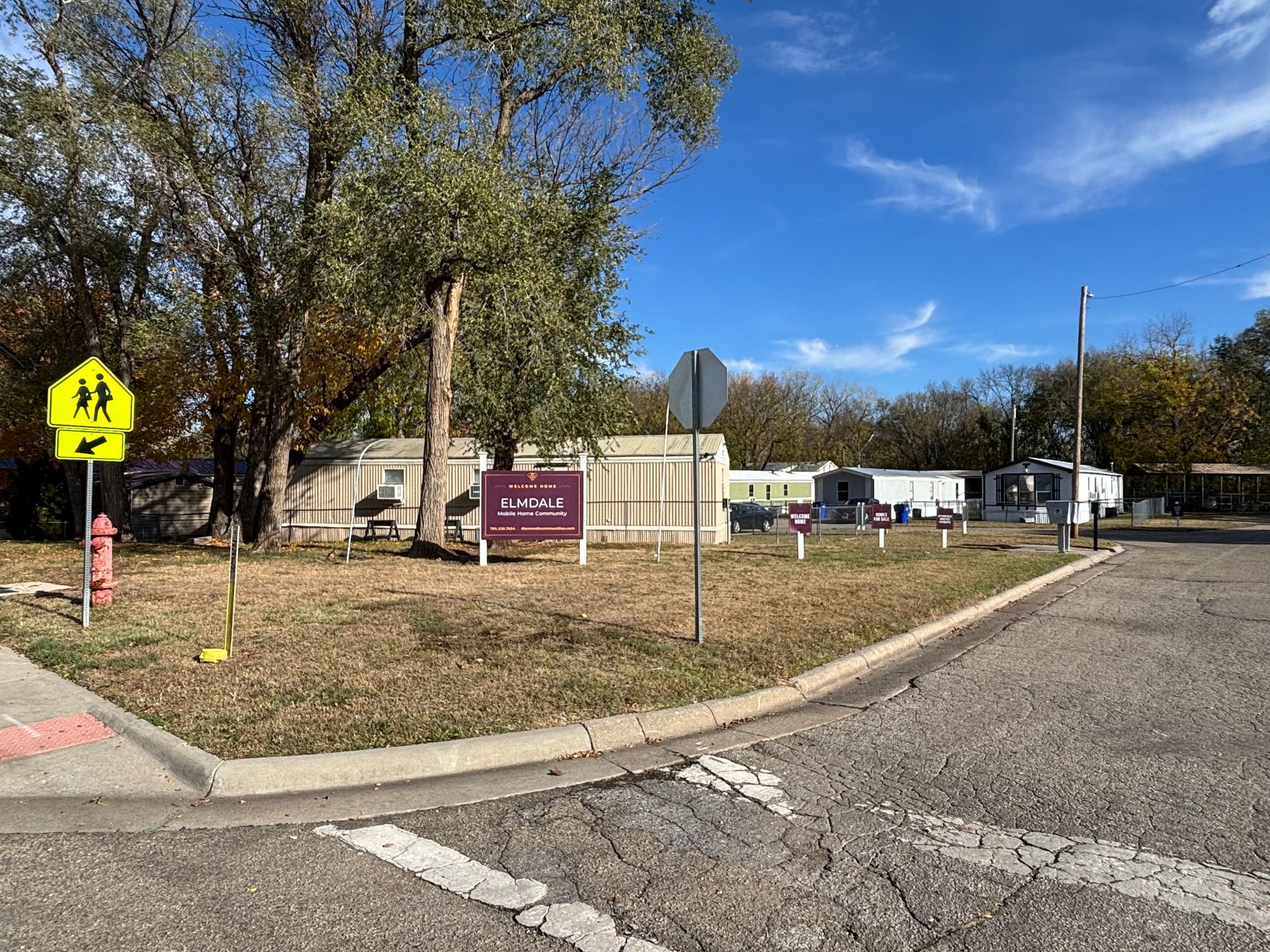 There is a school crossing sign on the side of the road.