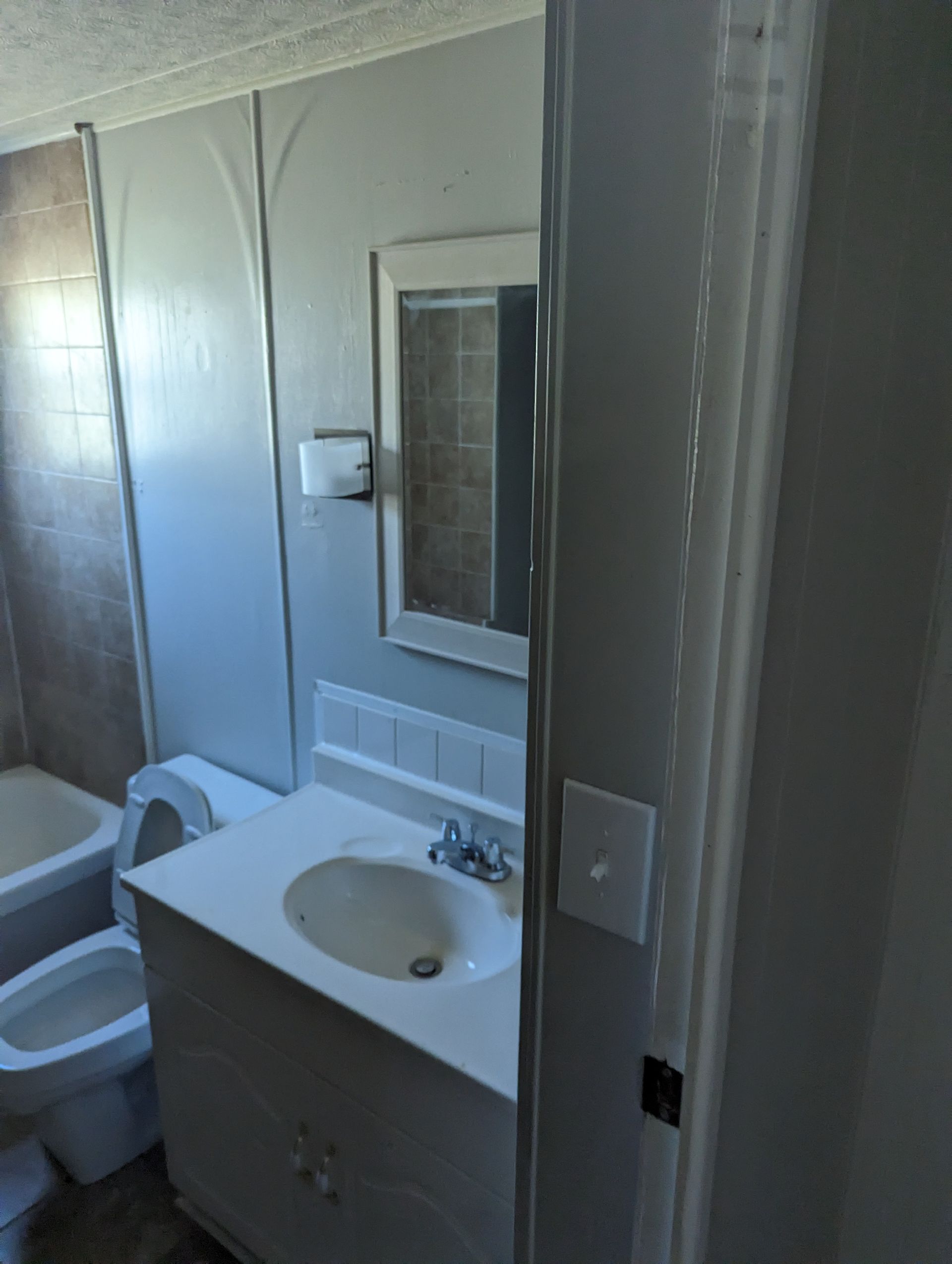 A bathroom with a toilet a sink and a mirror