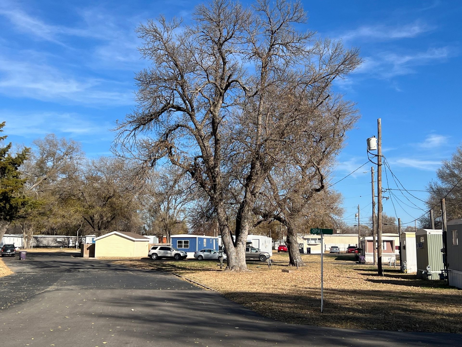 A mobile home park with a tree in the middle of it