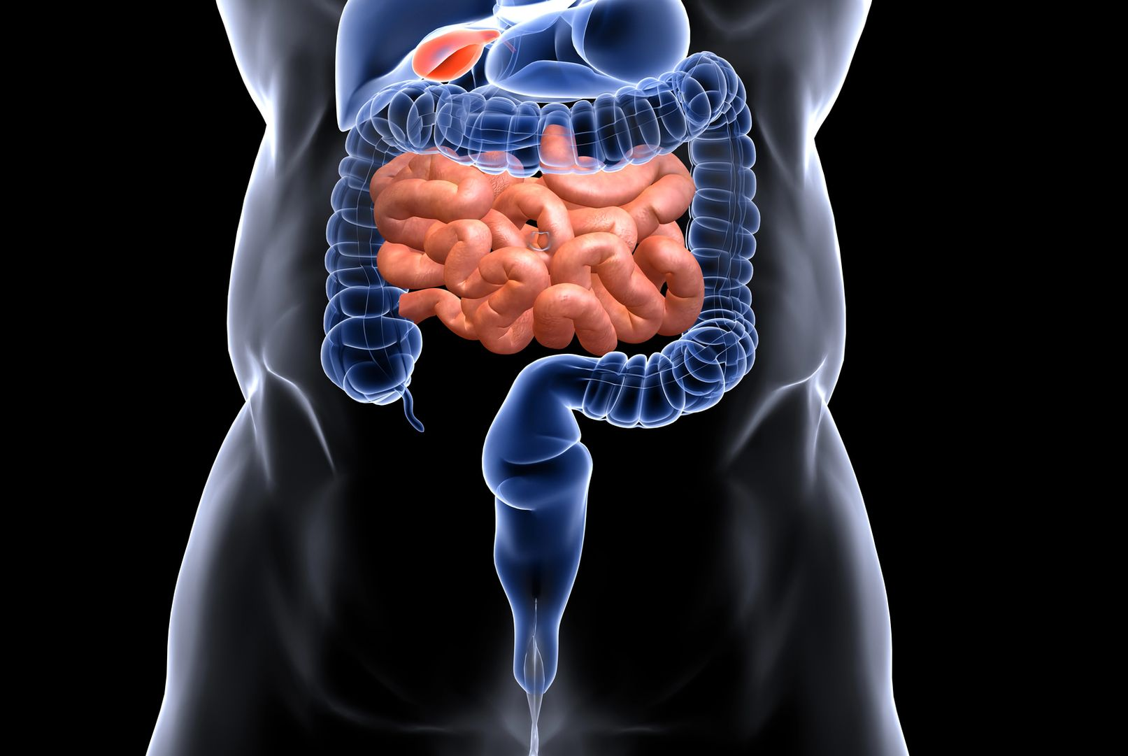 clisma opaco a Casarano (LE)