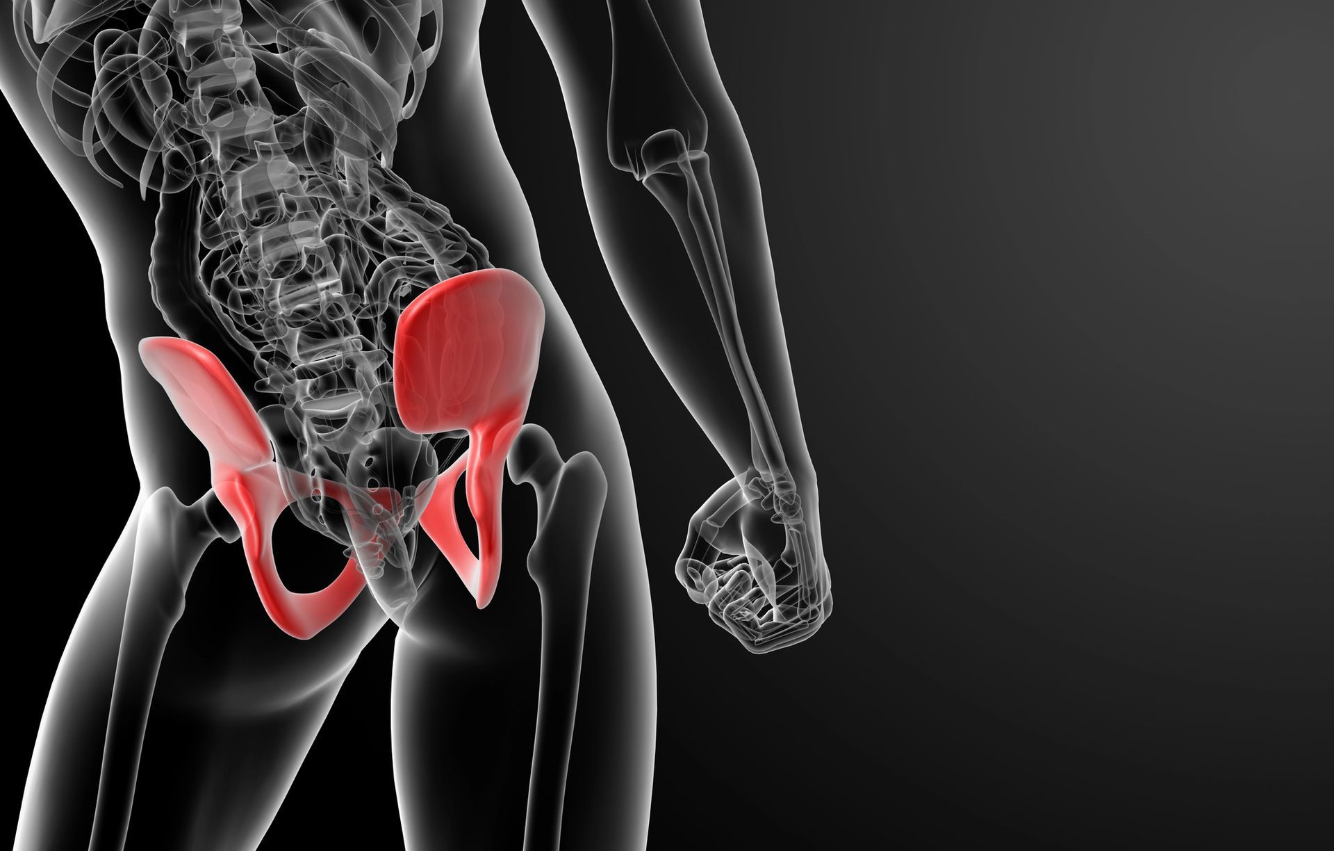 pongonogramma mono e bipodalico