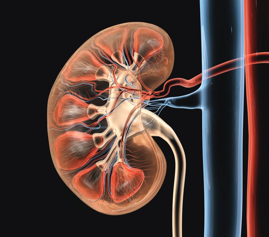 clisma opaco con doppio contrasto