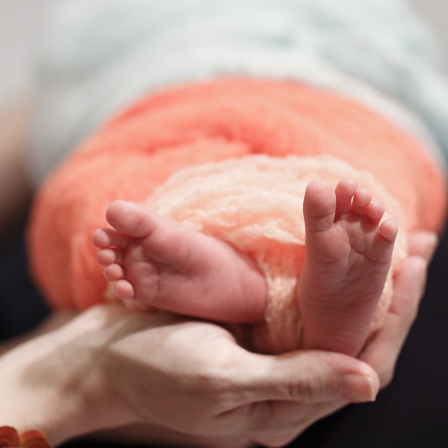 嬰兒的小腳在父母的手中，用桃色和藍色的布料包裹。