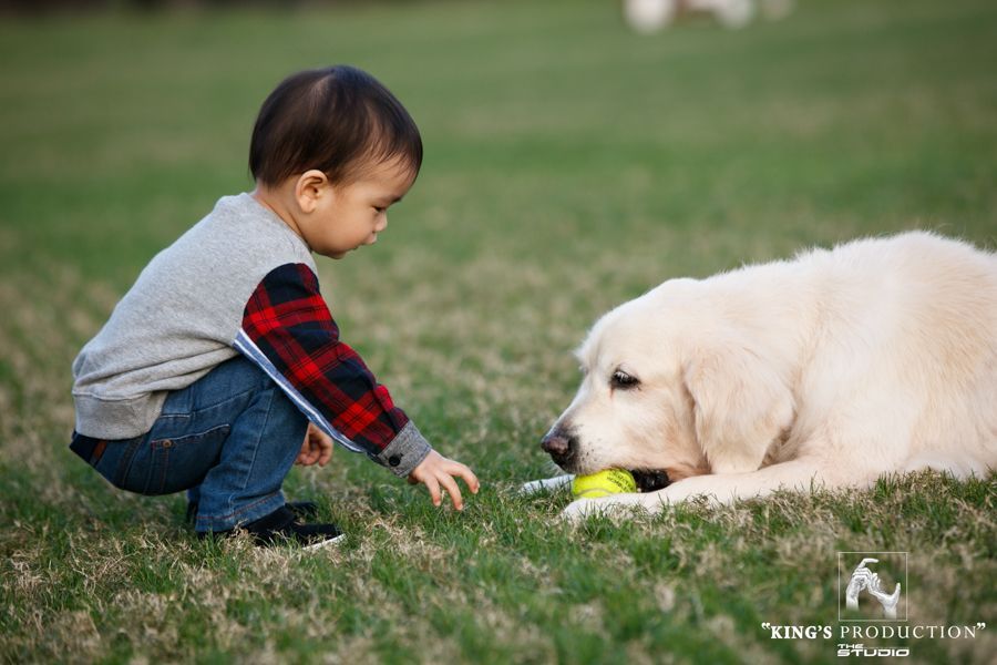 穿著牛仔褲和格子襯衫的小孩在草地上與黃金獵犬互動。