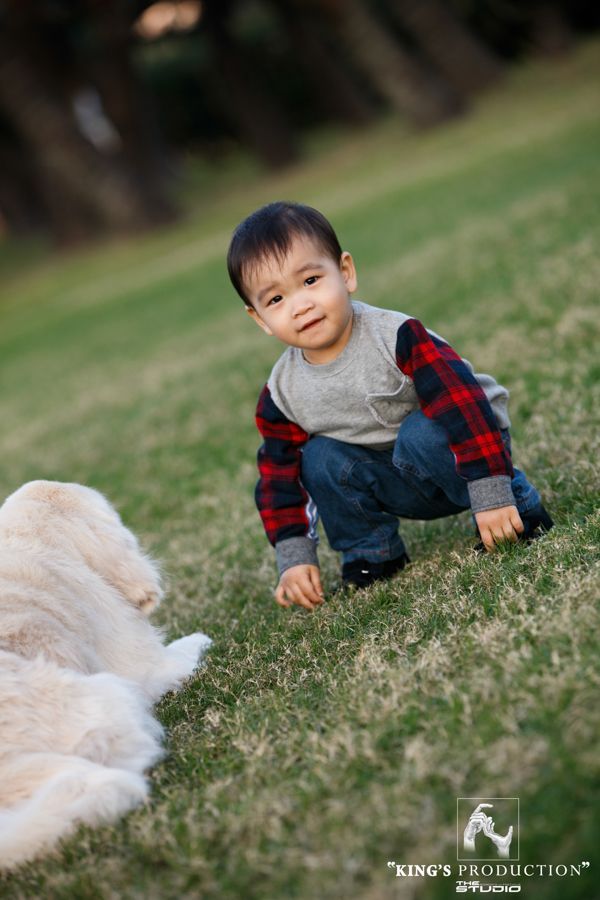 穿著格子袖襯衫的小男孩蹲在草地上，看著一隻毛茸茸的白狗。
