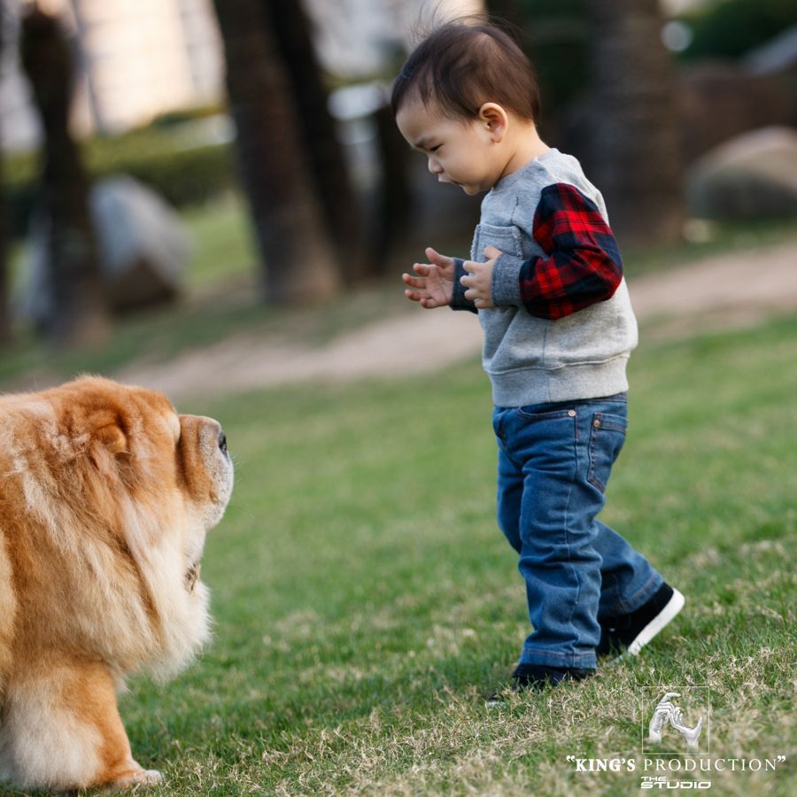 穿著灰色運動衫和牛仔褲的孩子走近草坪上一隻毛茸茸的淺棕色鬆獅犬。
