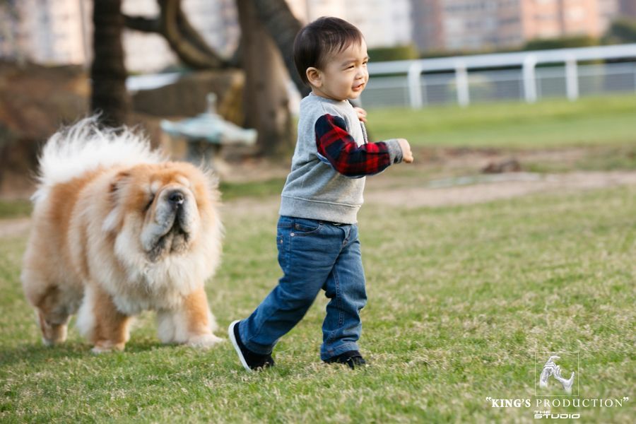男孩和毛茸茸的鬆獅犬在公園的草地上散步。